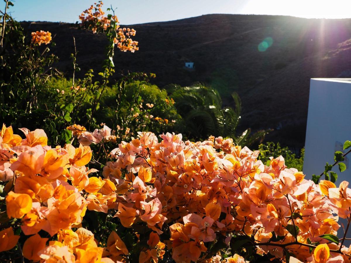 Villa Mariza Kíthnos Exteriér fotografie
